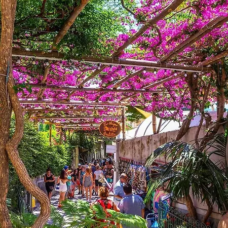 Casa Fiorellina -positano Apartamento