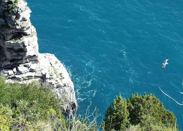 Casa Fiorellina -positano Daire *
